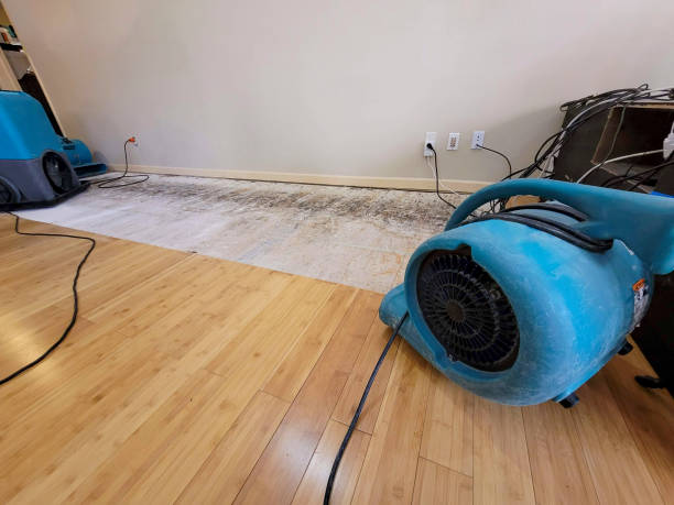 Professional Flood Damage Cleanup technician working in Cedar Park, TX